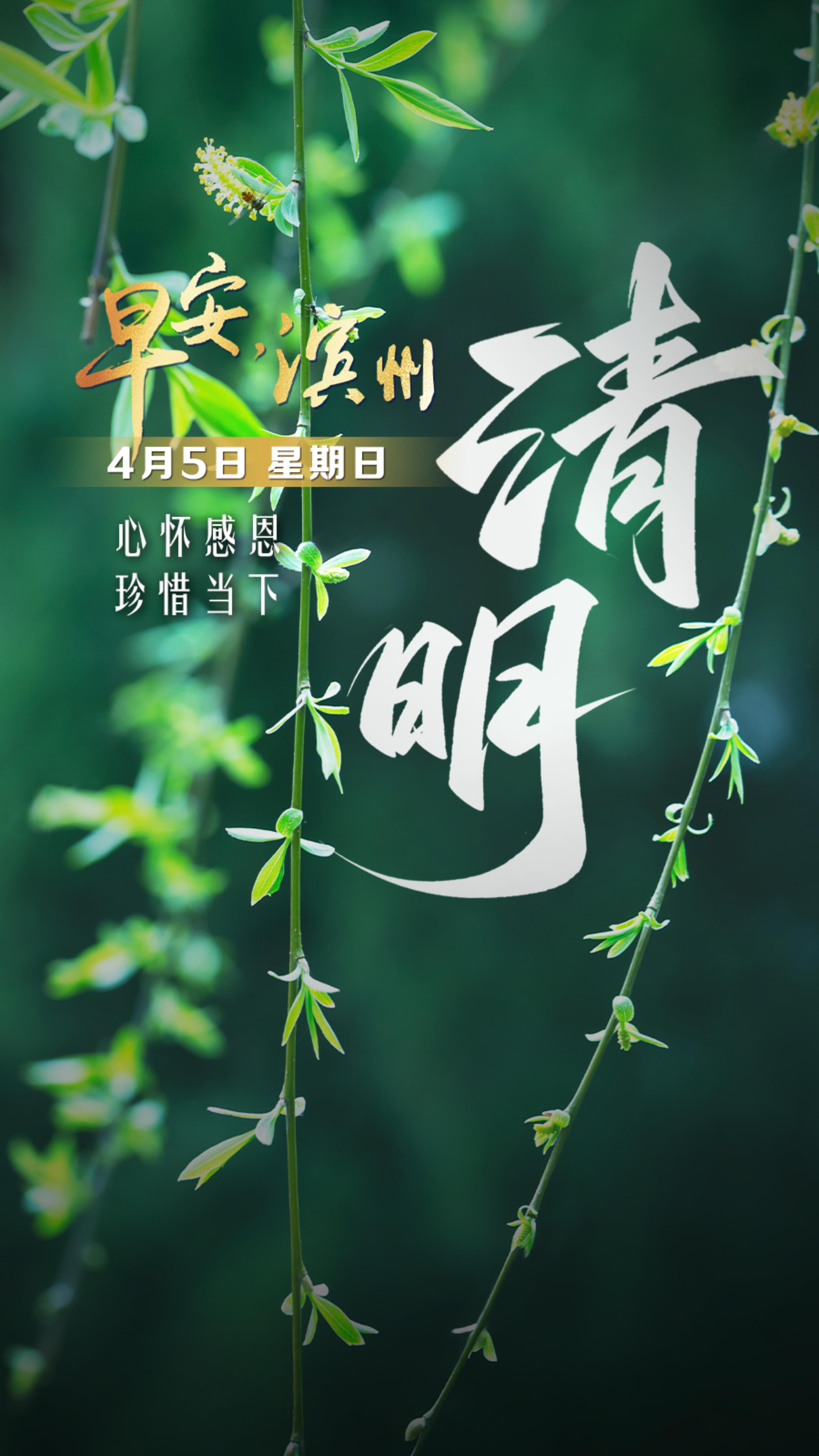 【早安】4月5日，周日，早安。清明晨风，微凉而清朗。思念如细雨，绵绵不绝；希望如新芽，破土而出。在这慎终追远的日子里，愿我们心怀感恩，珍惜当下。清明雨上，心自安宁。一杯清茶，一份追思。早安，愿你今日清净明朗。